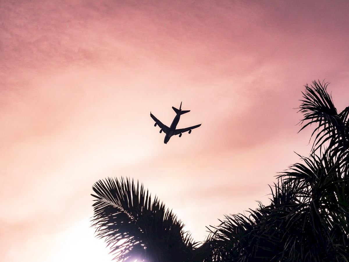 An airplane is flying overhead against a vibrant pink sky, with silhouetted palm tree branches in the foreground, creating a tropical scene.